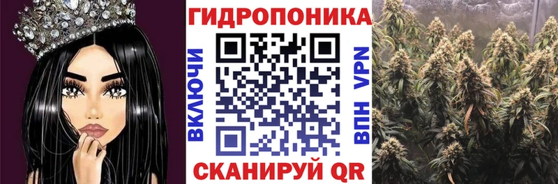 купить наркотики цена Апатиты Бошки Шишки индика